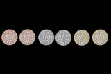Button Pave